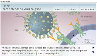 Replicação do Vírus Influenza A