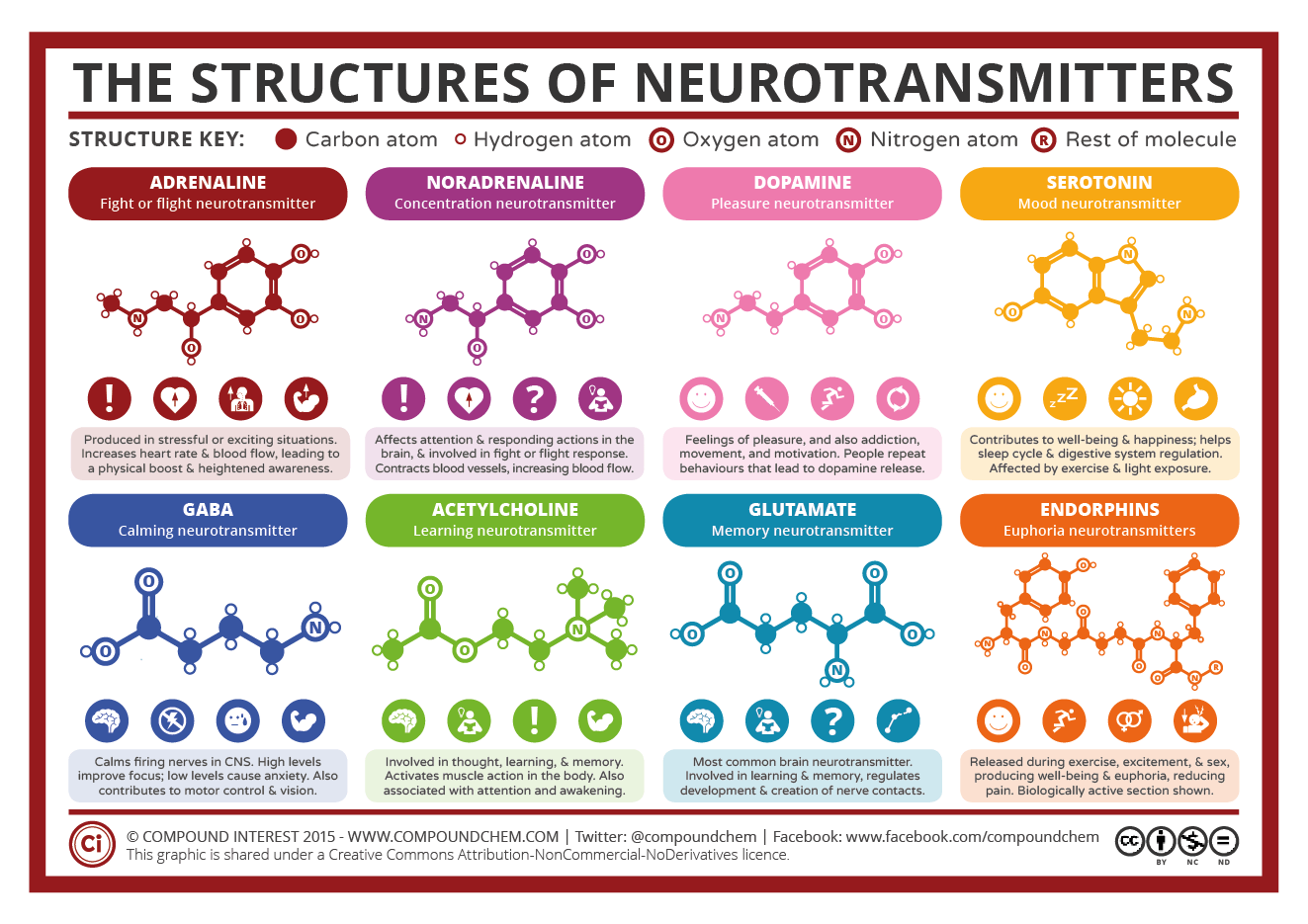 Anandamida, o neurotransmissor da felicidade produzido pelo nosso corpo. -  Tegra Pharma