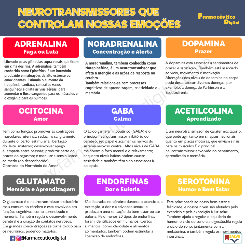 Anandamida: o Neurotransmissor da Felicidade 