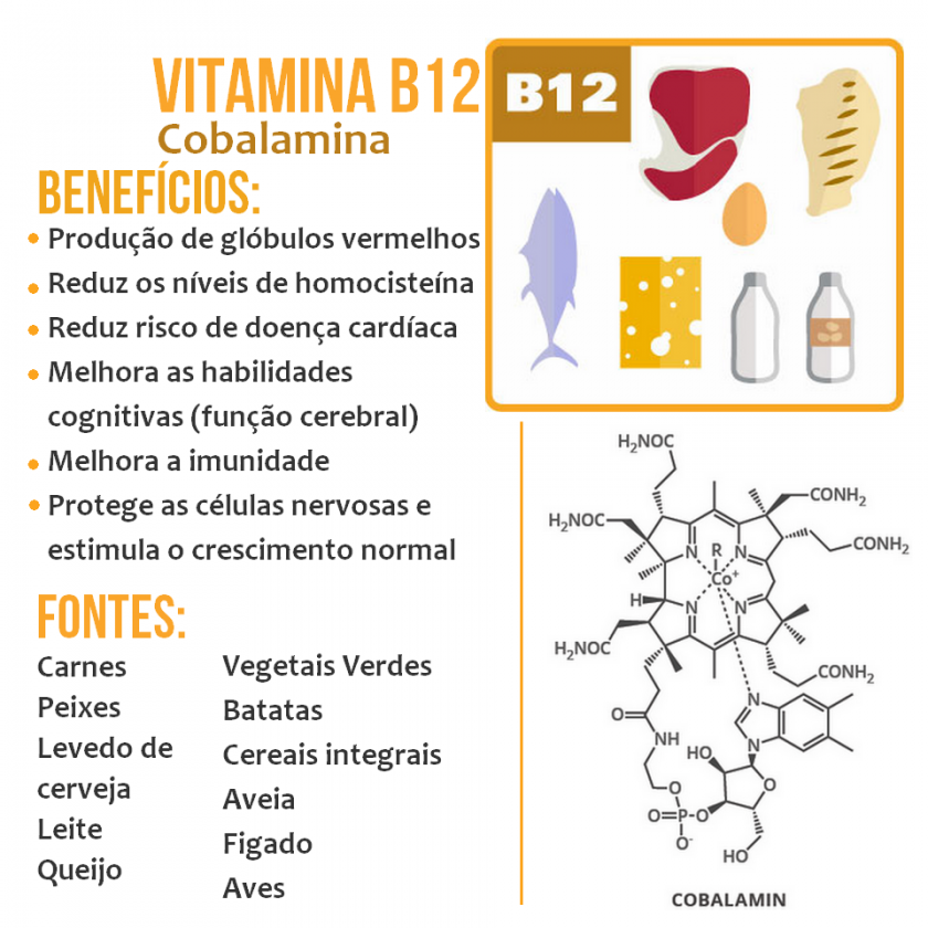 Tabela Periódica Das Vitaminas 5533