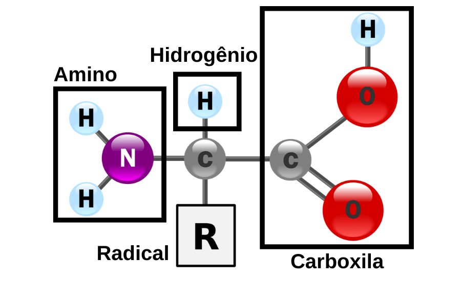 Los Mero Meros - Wikipedia